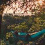 Relaxing Colors - Person Lying on Hammock Between Trees at Daytime