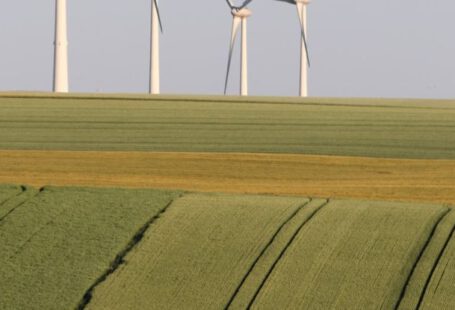 Eco Deals - Windmills